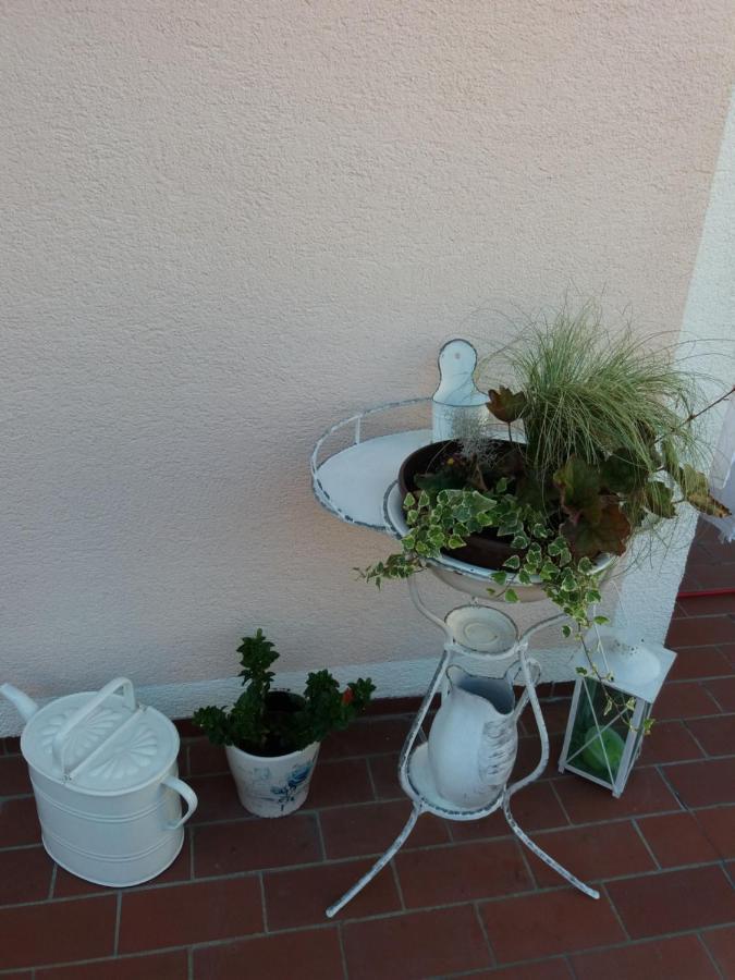 Wohnung Mit Charme In Pinsdorf Екстериор снимка