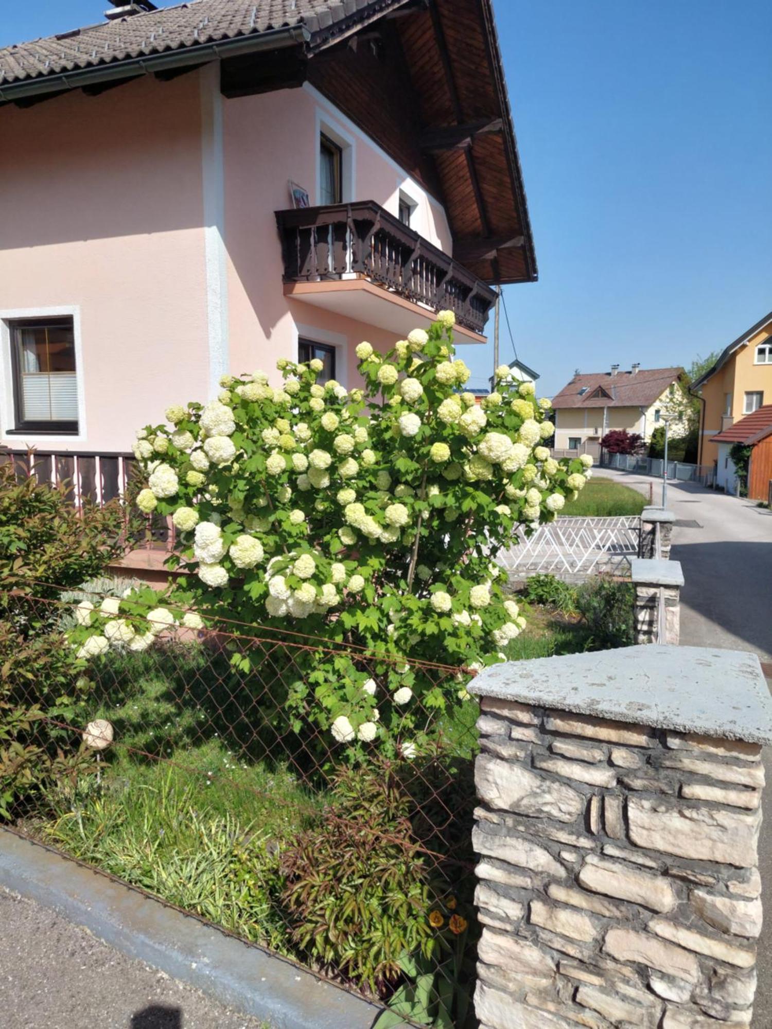 Wohnung Mit Charme In Pinsdorf Екстериор снимка